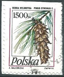 Polonia #3014  1990 en papel