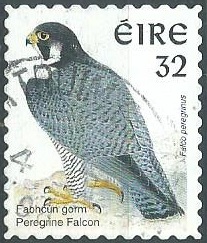 Irlanda #1054B 1997 NH Scott $10.00 "Halcón peregrino"