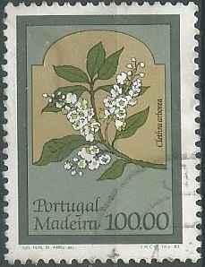 MADEIRA  #93   1983  NH