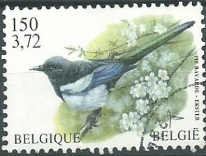 Belgica #1645 1997  "Urraca euroasiática"
