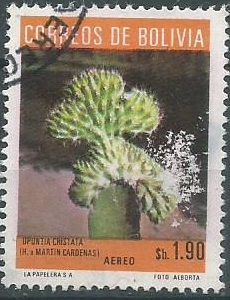 Bolivia #C322 1973