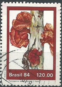 Brasil #1955 1984 NH