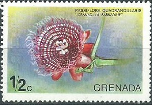 Granada #612 1975  Nueva NH
