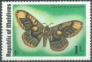 Maldivas  #584  1975  Nueva NH