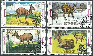 Mongolia #1895A - 1895D  1990  Serie completa "Moschus, ciervo almizclero"