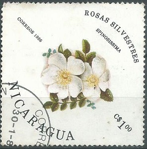 Nicaragua #1494 1986