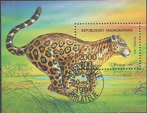 Madagascar  #1189  1995  HS "Leopardo"