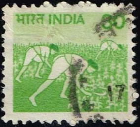 India #843 1980