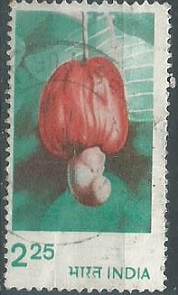 India #895 1981