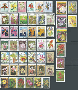 1 Orquideas 50 estampillas diferentes usadas