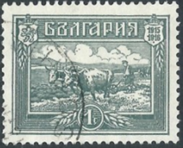 Bulgaria   #134  1919