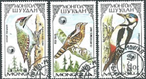Mongolia #1555 - 1557  1987 "Carpintero de cabeza gris, torcecuello euroasiático y pico picapinos"