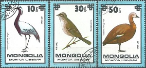 Mongolia #C114 - C116  1979 "Grulla damisela, curruca moteada y pato brahmán"