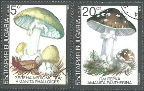 Bulgaria #3597 y #3599 1991 Cuadro