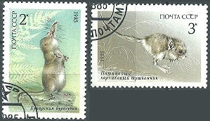 Rusia #5388 - 5389   1985