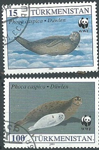 Turkmenistan #35 y #37    Y1993  "Foca del Caspio"