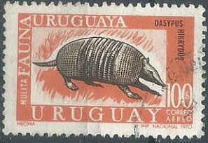 Uruguay  #C365  1970