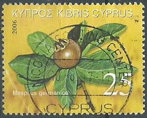 Chipre #1057   2006