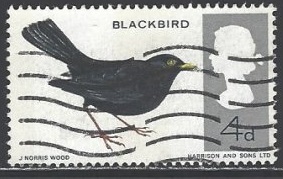 Gran Bretaña  #464  1966 "Pajaro negro europeo"
