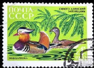 Rusia #3759  1970  "Pato mandarín"