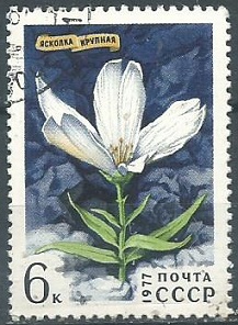 Rusia #4568 1977