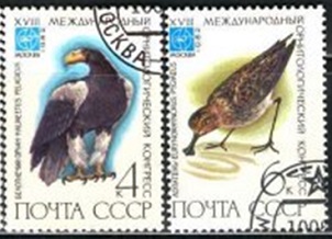 Rusia #5051 - 5052  1982  "Águila marina de Stellar y Correlimos cuchareta"