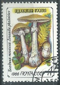 Rusia #5454  1987