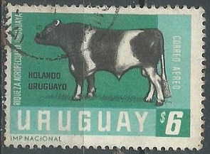 Uruguay  #C291  1966