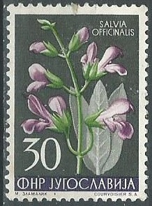 Yugoslavia #429   1955