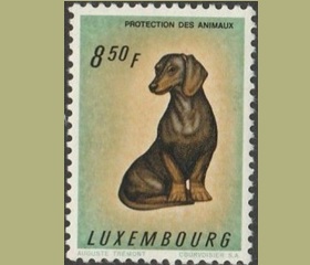 Luxemburgo #379 1961 Nueva (Hinged) "Dachshund"