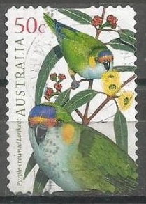 Loros, pericos, guacamayos y papagayos