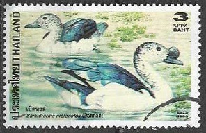 Tailandia #1697 1996  "Pato pico de perilla"