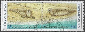 Turkmenistan #34  Y1993  "Foca del Caspio"
