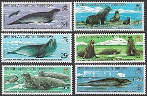 Territorio Antártico Británico  #96 - 101  1982  Serie completa  Nuevas NH