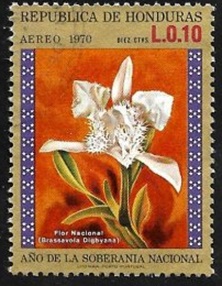 Honduras #C511  1972  "Flor nacional, Orquídea"