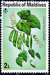 Maldivas  #652  1976  Nueva (Hinged)