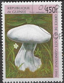 Guinea #1351  1996