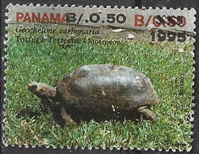 Panama #818  1995 "Tortuga"