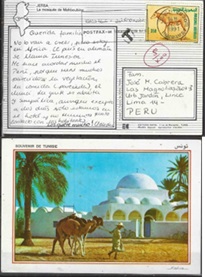 Túnez #962  1989 En postal circulada a Lince  "Órix cimitarra"