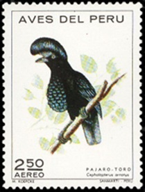 PERU #C337  1972  Nueva NH "Pajaro toro"