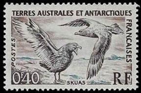 Territorios Australes y Antárticos Franceses #13 1959 Nuevas NH "Skúa polar del sur"