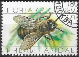 RUSIA #5771   1989 "Abejas"