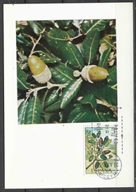 España # 1715  1972  Maxicard  "Encino"