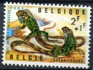 Belgica #B780   1964   Nuevas NH  "Iguana común"