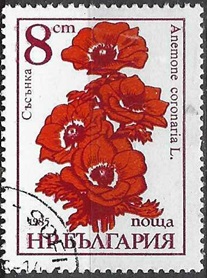 Bulgaria #3185 1986 "Anémona amapola"