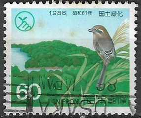 Japon #1674 1986 "Alcaudón cabeciblanco"