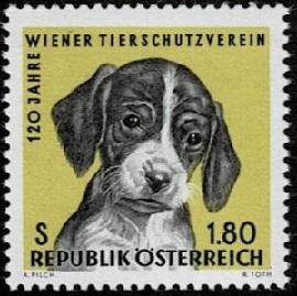 Austria #763 1966 SI Nueva NH "Cachorro - 120 Años de la Sociedad Humanitaria de Viena"