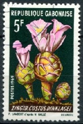Gabon #246 1969 "Zingiberaceae"