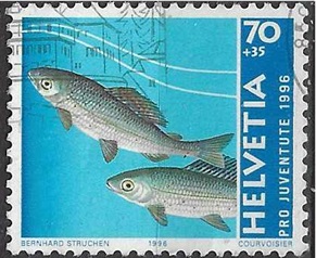 Suiza #B618  1996 Scott $0.55 "Tímalo"