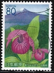 Japon #Z672 2005 Scott $0.90 "Orquídea cypripedium macranthos"